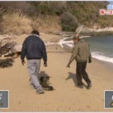 立川志らく,妻,不倫,立川うおるたー,画像,酒井莉加,キス