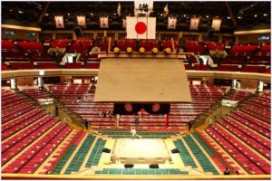 高田川部屋,勝武士,コロナ,感染,死去,糖尿病,28歳,相撲,力士