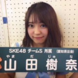 【SKE48の元メンバーの山田樹奈が詐欺容疑で逮捕！】偽名山本ゆきを使いバイナリーオプションにて勧誘。事件をわかりやすく解説。